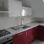 White Dream Споторно